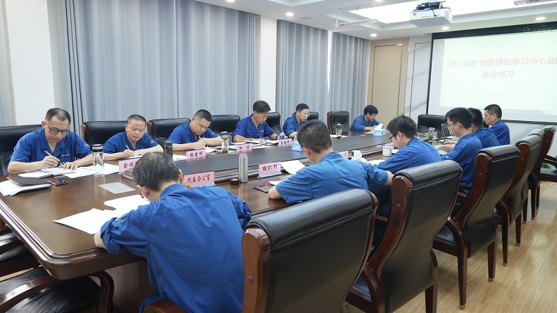 5月30日下午，武山銅礦舉行黨委理論學(xué)習(xí)中心組專題學(xué)習(xí)會議（馮浩）.jpg